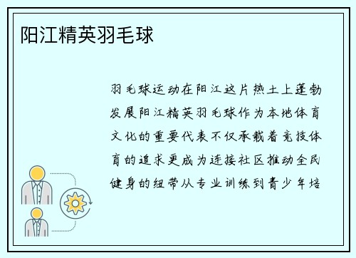 阳江精英羽毛球